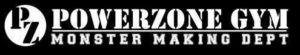 pz-logo